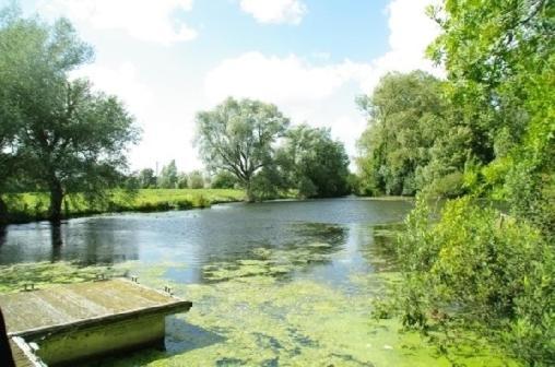 Le Cottage De L'Heron Moulle Luaran gambar